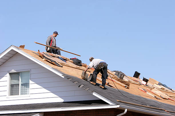 Best Roofing for New Construction  in Port Lavaca, TX